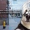 0cf513550e02cb84fd3b7e5216d22ed2-doghaus1.jpg