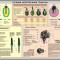 0d2aae6fd4aa838ec8ee9e9b1970efbe-plakat.jpg