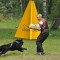 0dfb5052398c7e04dffbd5a8dbe00bc9-dsc_0239.jpg
