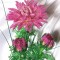 0e02e77260e71e4e1b03d90120458115-biser.info_43682_hrizantema-predrasvetnyje-grezy_1322556757.preview.jpg