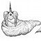 1060e0c704ff041f7fab0ed460fc5ac9-20000309_1.jpg