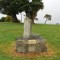 11519ed1bb51af777750dd47912f563b-beech_forest_cliff_young_memorial_gumboot.jpg