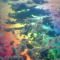 39c-p19dc64n6v8an8s21lo717pj1mrv4.png