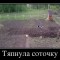 1bf-p1bh2ek826u0r1ut0c08tmh1mm84.jpg