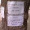 1201880486_30.jpg