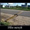 96a-p192o1u860pli1op34tffph12bg4.jpg