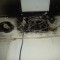 164cc54ec1cb4a7389cf926ab9dfc43f-dsc00159.jpg