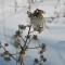 16b4c85e97fccaff0a27ddfbc2ff37cb-img_3131.jpg