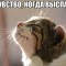 3e0-p193ul7inb12s51pm910id1vl81i3a4.jpg
