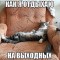 44b-p197u5gpqilngi991o5016us1slf4.jpg