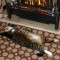 afe-p198mfe7a91mroirc1nf3af51c5u4.jpg