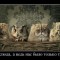 1fffccf8f9840d82918b1ffcc30f8dd1-81125756_gospoda-a-ved-nas-byilo-tolko-troe.thumbnail.jpg