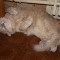 2012_01_17_0005.jpg