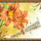 2051bd8e7a1edfeb3a717c59e745c0b3-742060558.gif
