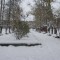 20d7eac8d57cb55640b3112e007884f3-image.jpg