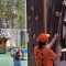 8f1-p19ph7ao4kblcep21gbi18ddgfr9.jpg