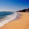 f9c-p19j320ckoeuu1tml193csigass8.jpg