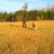 23d72ad99e61a672693eea0fc23dc436-044.jpg
