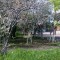 23f96ce2d7fb494b69039054317d1b34-foto0017.jpg