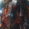 0d8-p1d0girft7b6a13igfp3s2102f4.jpg
