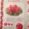 bfd-p19ifaddtvp171hafcq15etail4.jpg