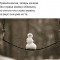 5dc-p1c85mnjev114s115r18i459d1r9o4.jpg