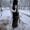 f8f-p1hl7rptn77p8bb35khg701qm4.jpeg