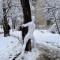 f8f-p1hl7rptn81ui31ch316rm1gbn1knj5.jpeg