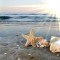 2a4c5e992b1c4f2deb98df1e87721f91-odno12.jpg