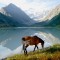 2e5dec8cc4d54acbd148c7521c4aaba6-altai_lake.jpg