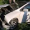 db7-p1altd835gs4a1nd4bi8inajai5.jpg