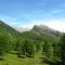 338-p199ospoqj1460d281rt3ltng181k.jpg