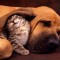 64a-p1alktbnhl1qgns6n1tm81hd9eq34.jpg