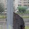 6a4-p1arf5hrmk10r516nfu597fm1pip4.jpg
