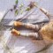ba4-p1aiitkd5hb5v1ages6miebrm4a.jpg