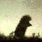 aae-p1920r3tmk1v83cin6u1gkdcti4.gif