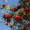 1e1-p193o45olf13qbuec1u3pmf1h873.jpg