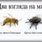 c6b-p197laoihac1a109116o31cpn1jk23.jpg