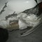 03e-p198kiedqi133o13eqt3j1l0h16pn4.jpg