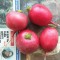 702-p1i0tj58ub12tcqj8mh81frg1kre4.jpg