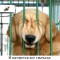 7be-p19i92r30f137ao61idc1ft1kdl8.jpg