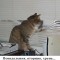 7be-p19i92r83i66410pn2j1ooa1kp29.jpg