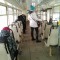 c52-p1ad0qkee81mc410lc15e4fnp174l4.jpg