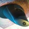 824-p19urh06tc1remnbffqmm8f19cc6.jpg