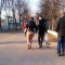 04f-p19kpeaa8pa4etde8t1270pj44.jpg