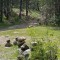 832-p1alcks1sb172613ptjntqks1d6vd.jpg