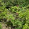 832-p1alcks5t419fp10ek191718pdl9qe.jpg