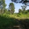 e1a-p1amleau0g13ks1b09ssv136524l8.jpg