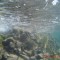 58f-p19vktdp4j1nn0tdai2s19il1ije6.jpg