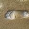 269-p1afkak40s19sqso6118t11k9qbs6.jpg